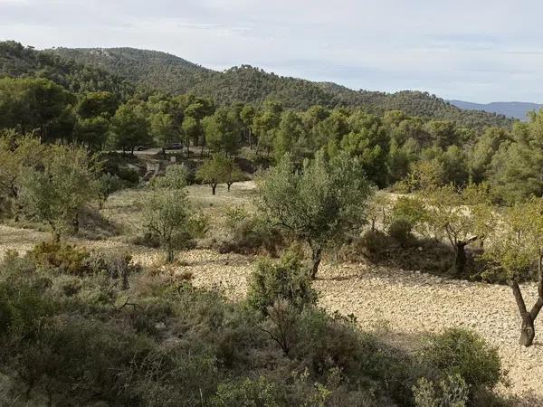 Terreno en 38,5124060-0,6311200 s/n photo 2