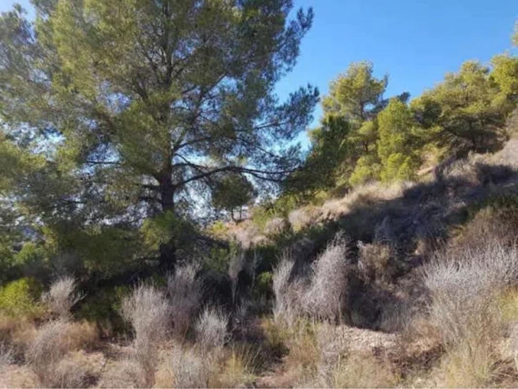 Terreno en venta en Finestrat, Alicante photo 4