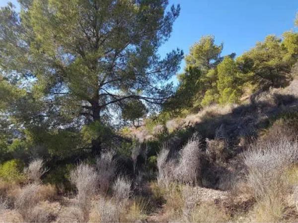 Terreno en Finestrat Pueblo photo 4