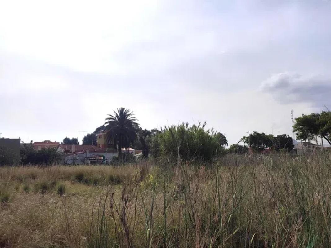 Terreno en venta en El Verger, Alicante photo 4