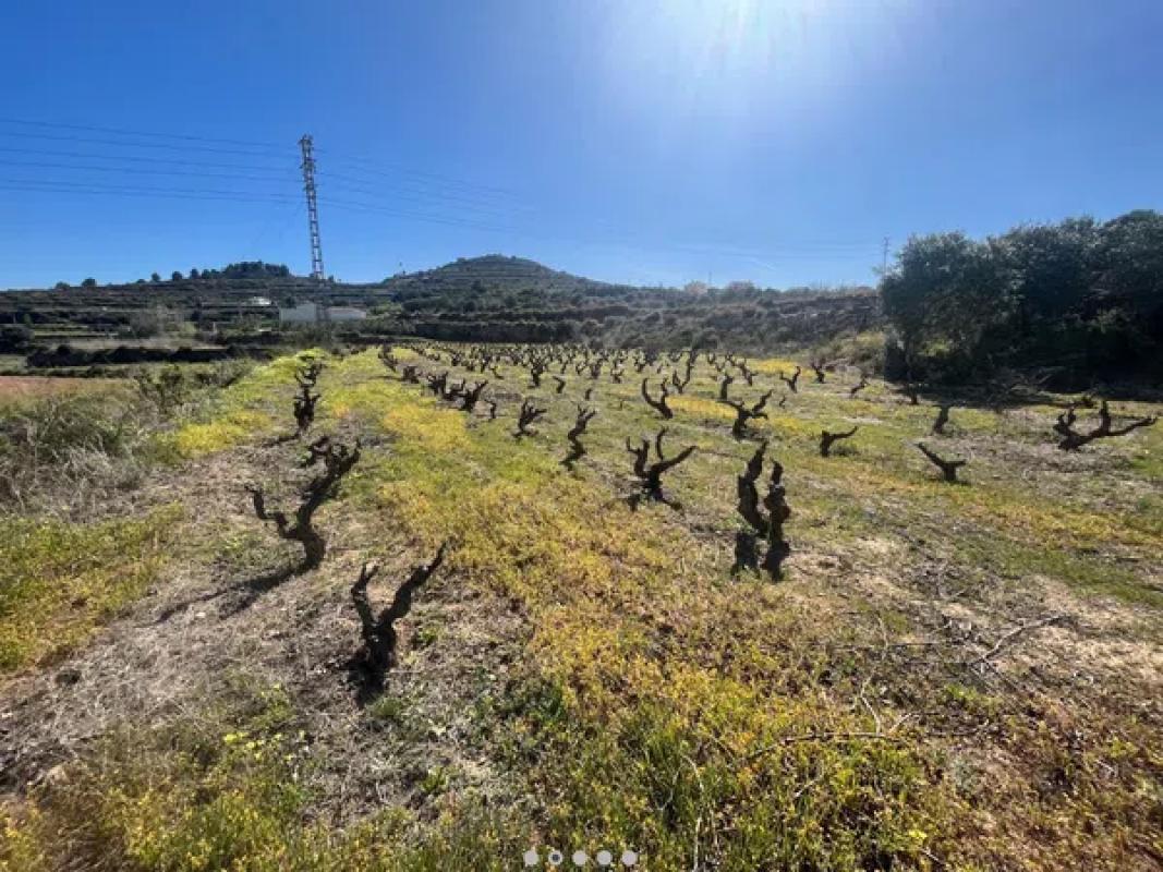 Terreno en venta en Benitachell, Alicante photo 4