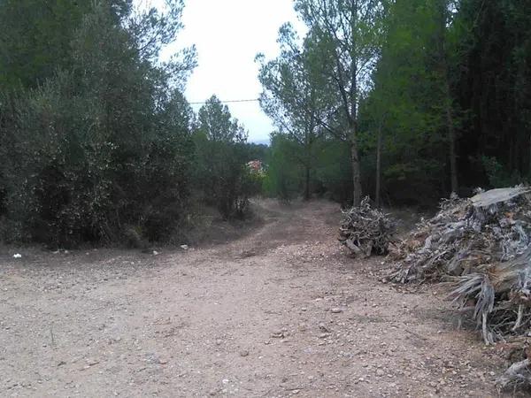 Terreno en camino Mas Nou, 8 photo 2