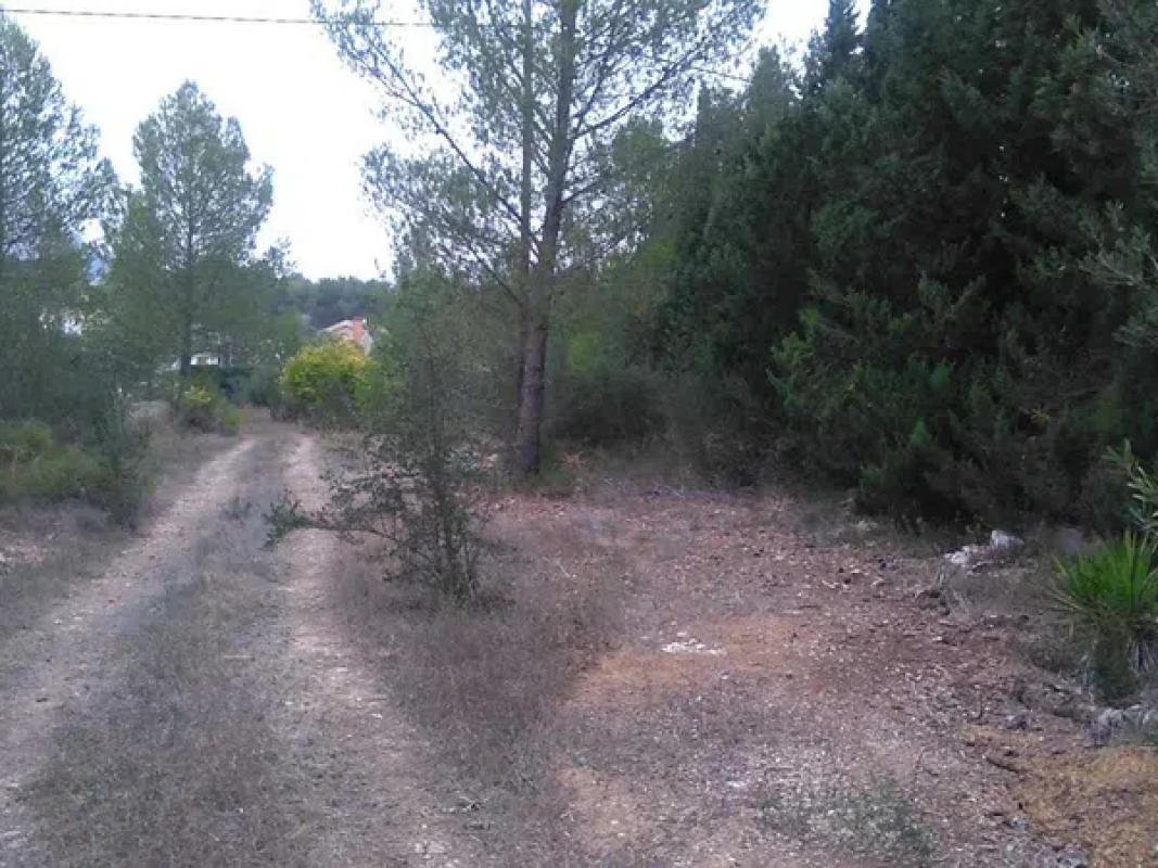 Działka na sprzedaż w Muro de Alcoy, Alicante photo 4