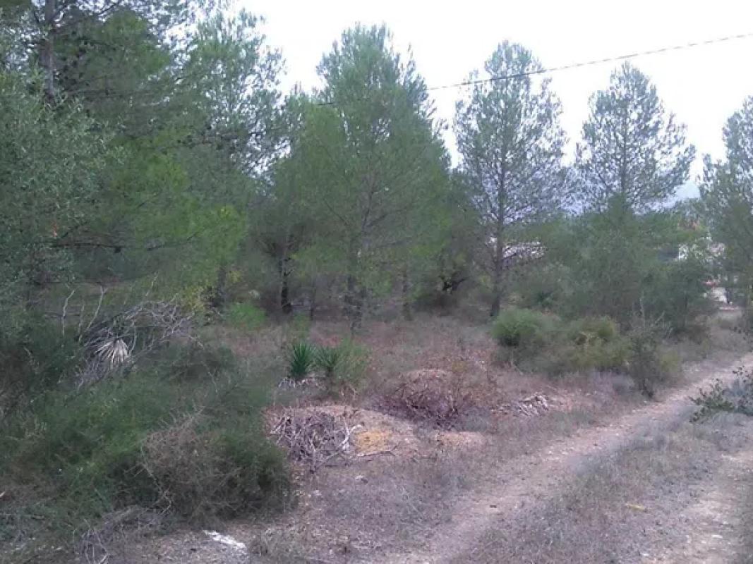 Działka na sprzedaż w Muro de Alcoy, Alicante photo 5