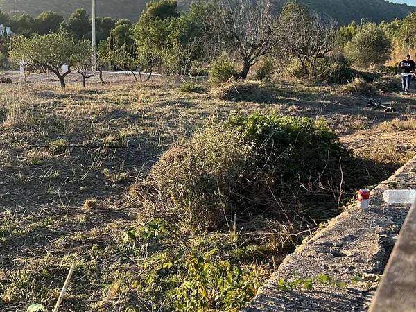 Terreno en Cv-745 s/n photo 3