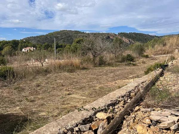 Terreno en Cv-745 s/n photo 4
