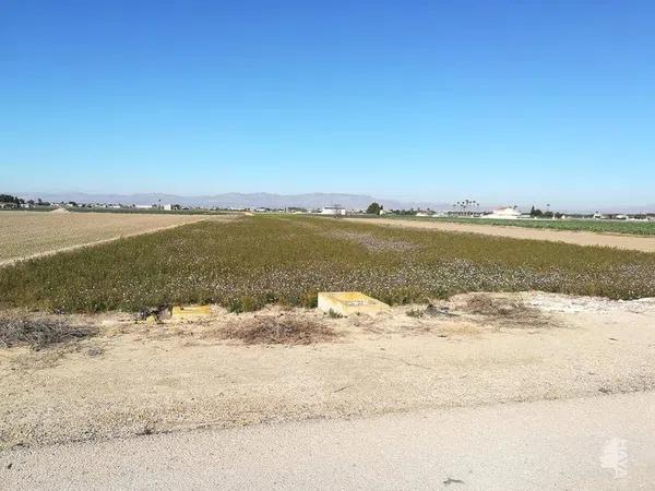Terreno en San Fulgencio photo 1