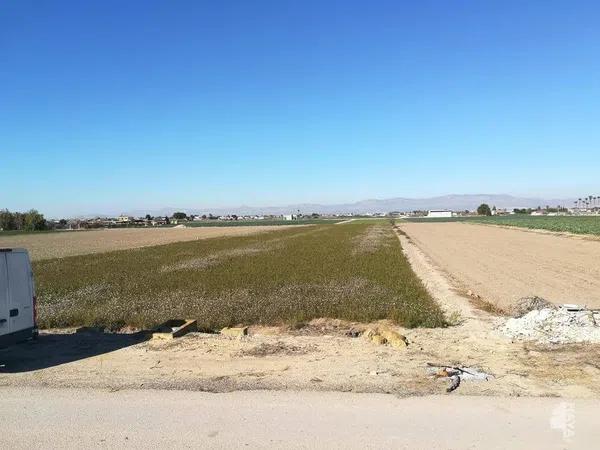 Terreno en San Fulgencio photo 2