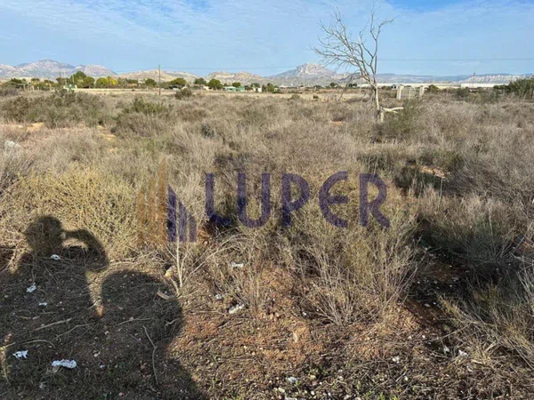 Land for sale in Fenollar Canyon, Alicante photo 2