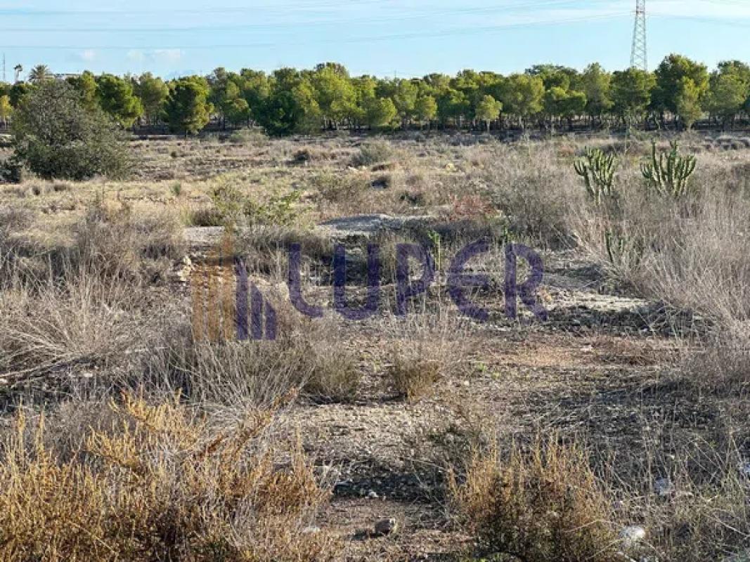 Land for sale in Fenollar Canyon, Alicante photo 3