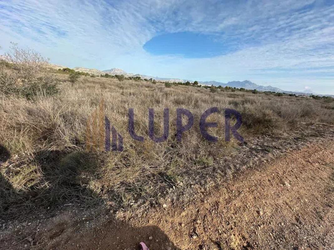 Land for sale in Fenollar Canyon, Alicante photo 4