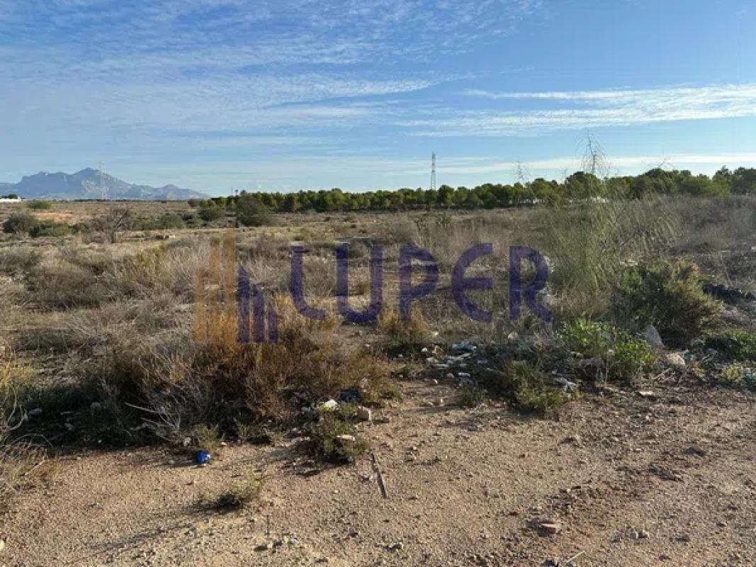 Land for sale in Fenollar Canyon, Alicante photo 5