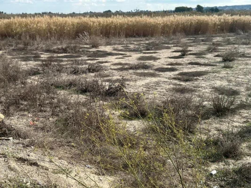 Terreno en venta en Elche / Elx, Alicante photo 1