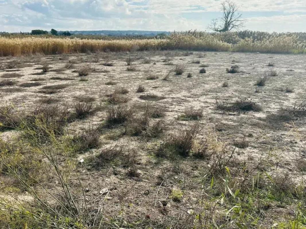 Terreno en venta en Elche / Elx, Alicante photo 2