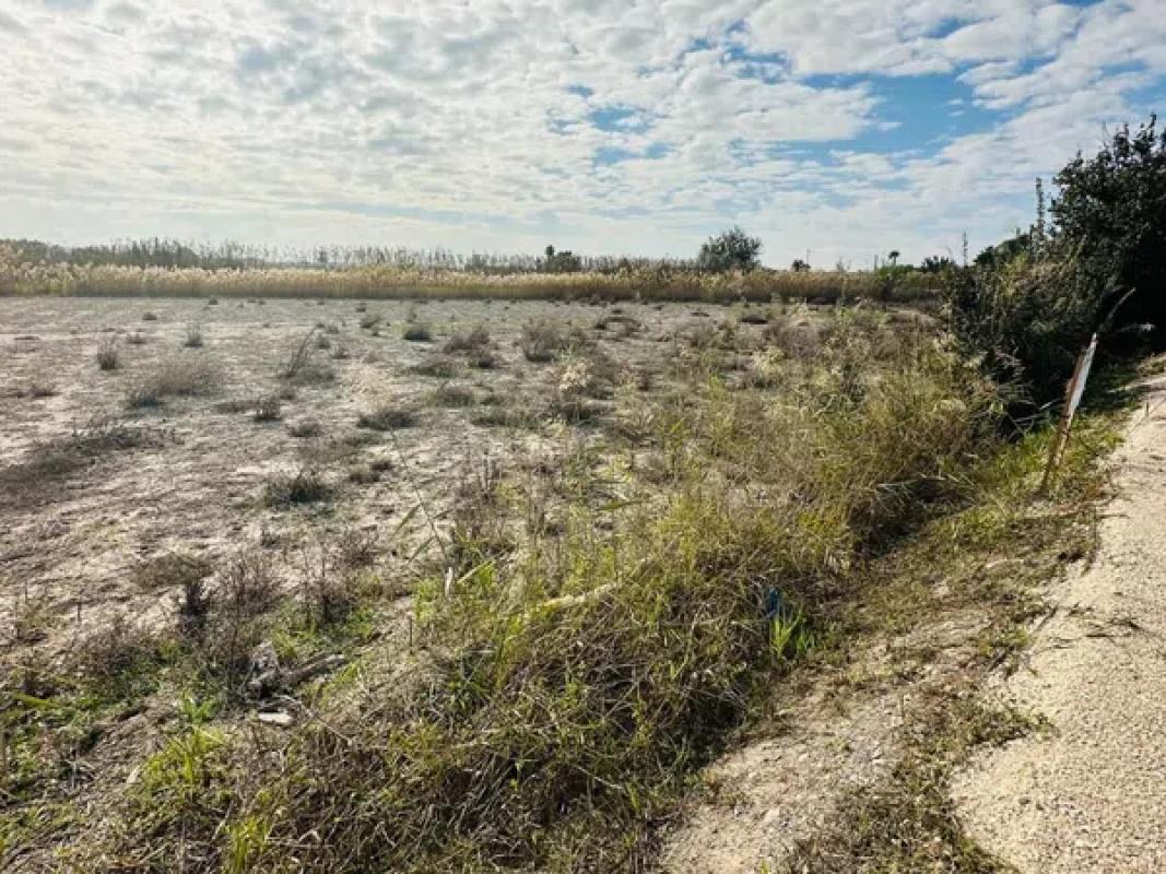 Terreno en venta en Elche / Elx, Alicante photo 4