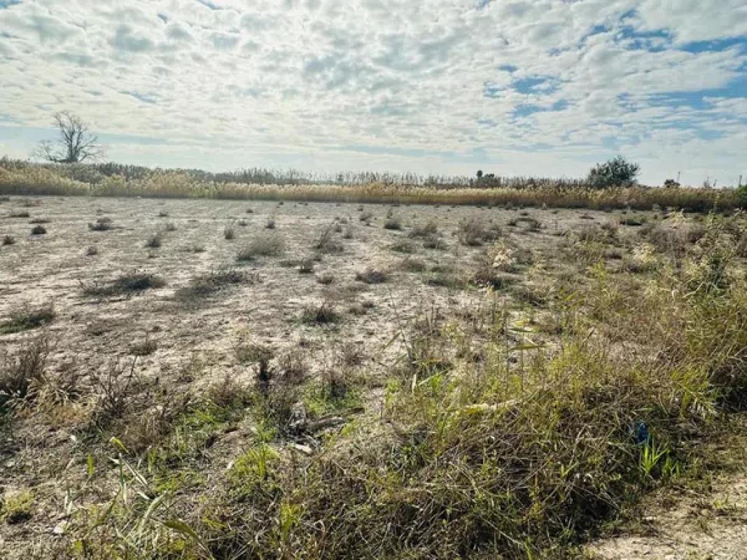 Terreno en venta en Elche / Elx, Alicante photo 5