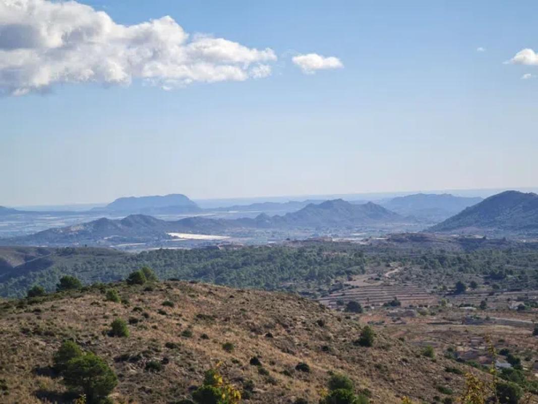 Terreno en venta en La Romana, Alicante photo 1