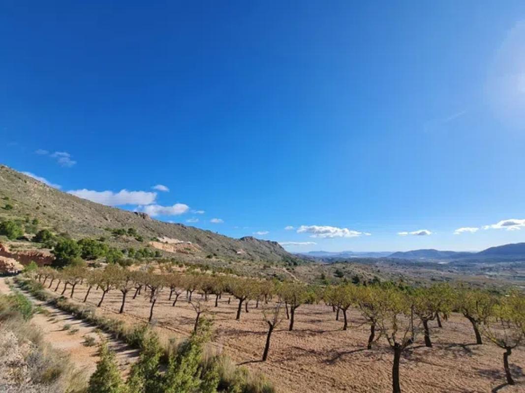 Terreno en venta en La Romana, Alicante photo 2