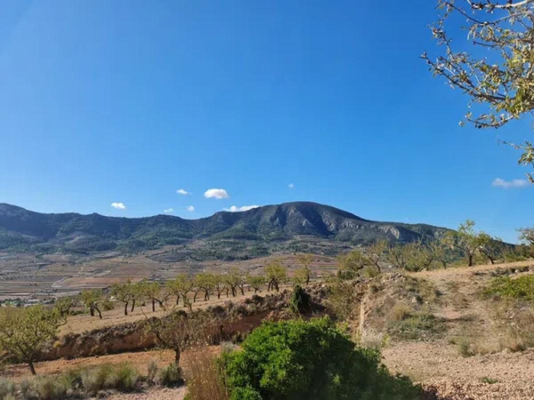 Terreno en venta en La Romana, Alicante photo 4