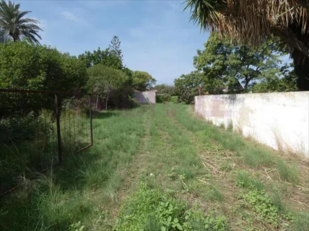 Land for sale in Denia, Alicante photo 2