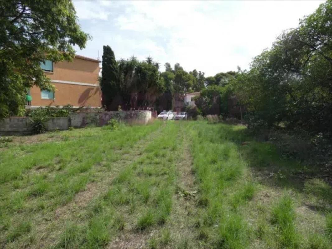 Land for sale in Denia, Alicante photo 3