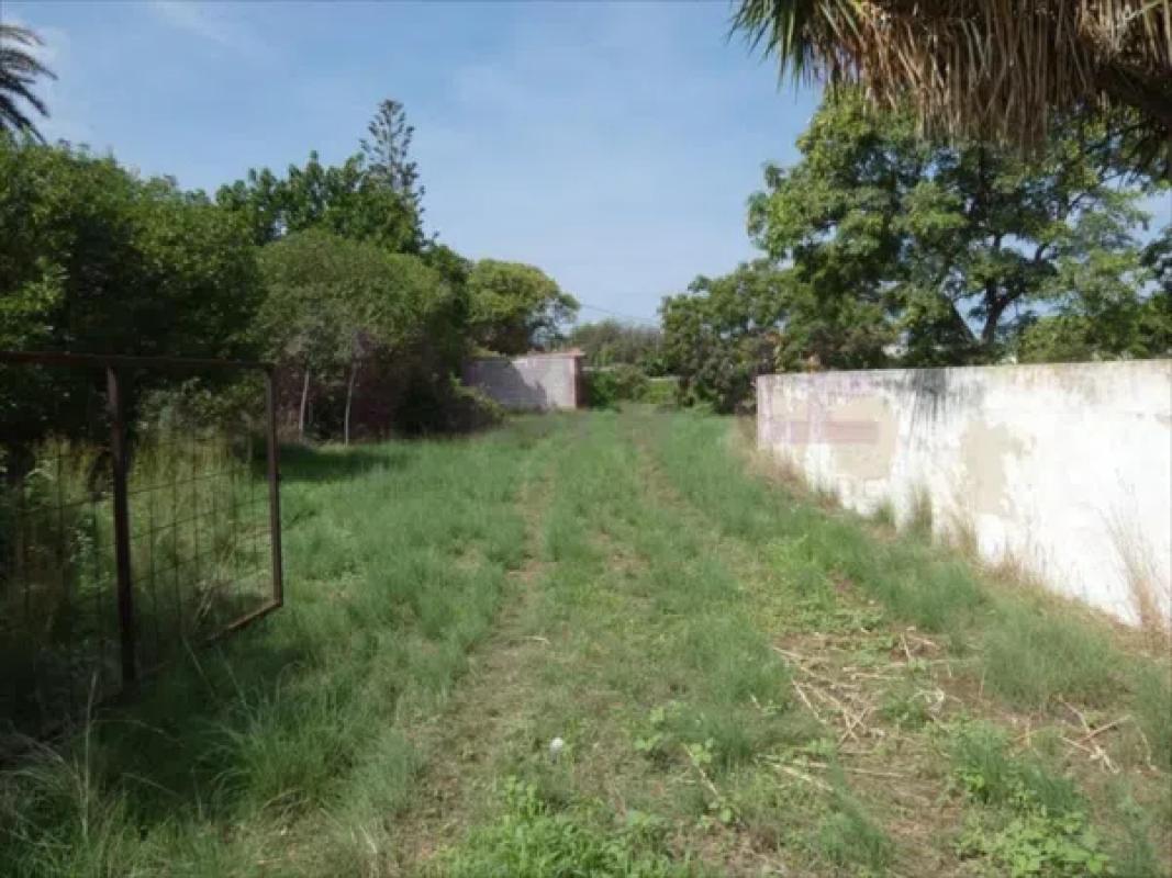 Land for sale in Denia, Alicante photo 5