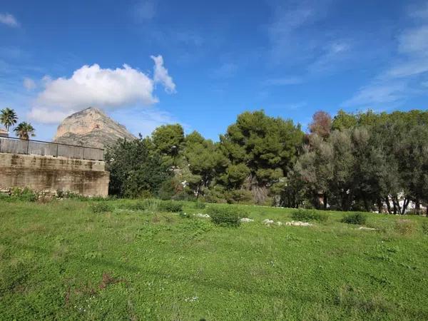 Terreno en Partida Tosal - Zona dels Castellans photo 1