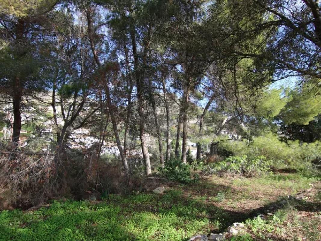 Działka na sprzedaż w Jávea/Xàbia, Alicante photo 2