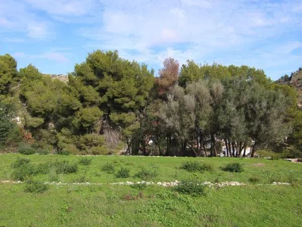 Terreno en Partida Tosal - Zona dels Castellans photo 4