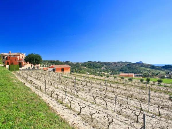 Terreno en Vall de Laguart photo 1