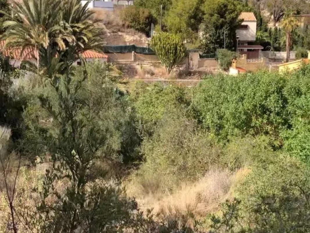 Terreno en venta en El Campello, Alicante photo 4
