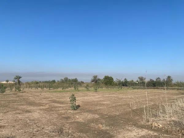 Terreno en Tamarit - Playa Lissa photo 1