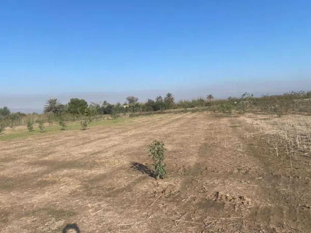 Land for sale in Santa Pola, Alicante photo 2
