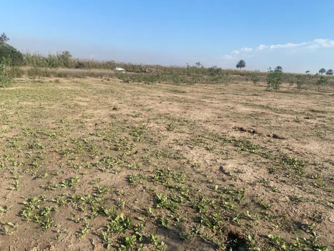 Land for sale in Santa Pola, Alicante photo 3