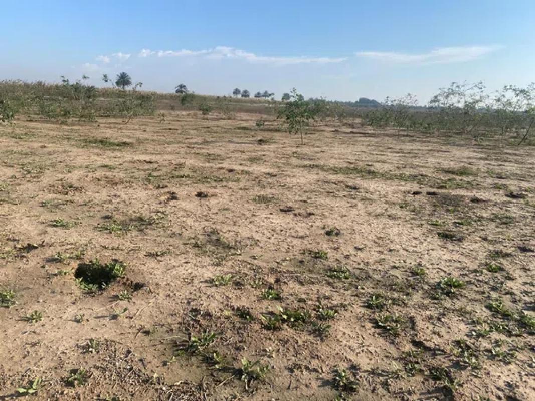 Land for sale in Santa Pola, Alicante photo 4