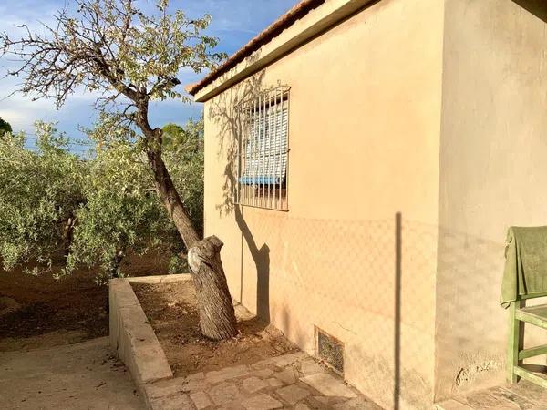 Terreno en Cañada del Fenollar photo 3