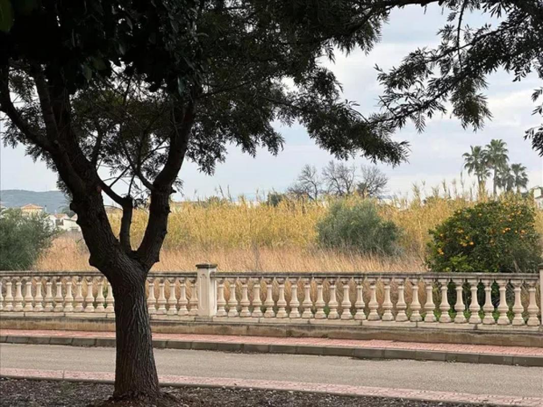 Działka na sprzedaż w El Verger, Alicante photo 4