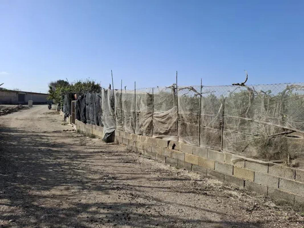 Terreno en venta en Guardamar del Segura, Alicante photo 3