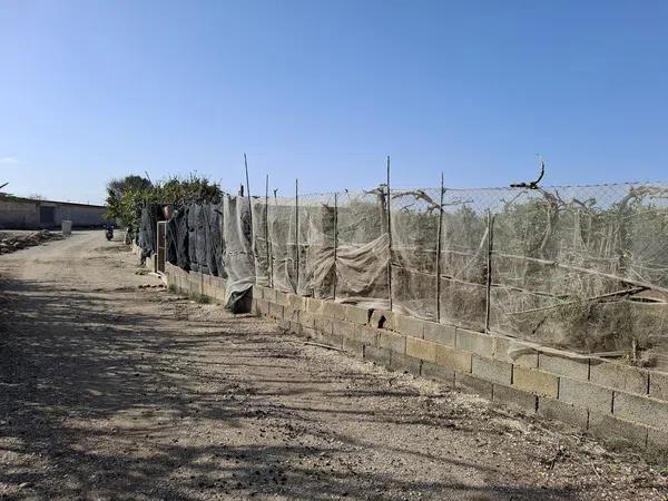 Terreno en Puerto Deportivo photo 3