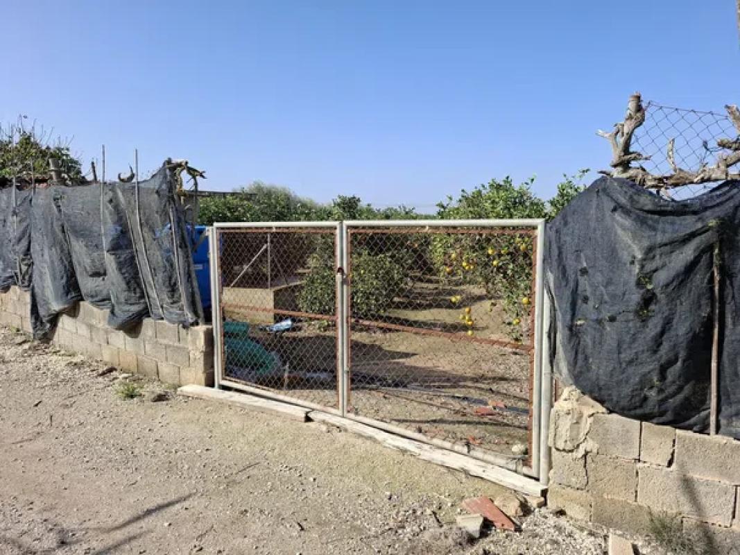 Terreno en venta en Guardamar del Segura, Alicante photo 4