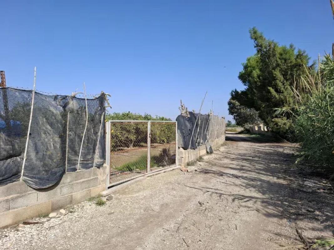 Terreno en venta en Guardamar del Segura, Alicante photo 5
