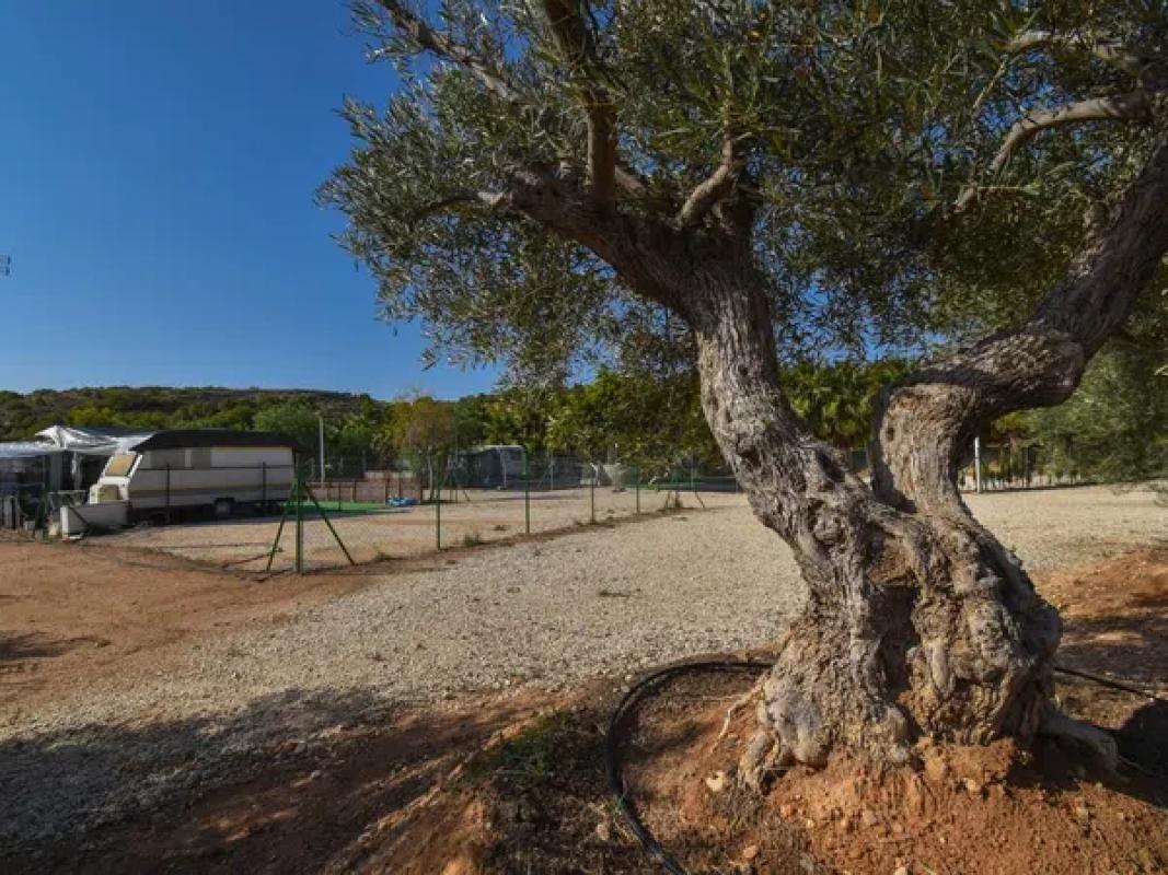 Terreno en venta en Elche / Elx, Alicante photo 2
