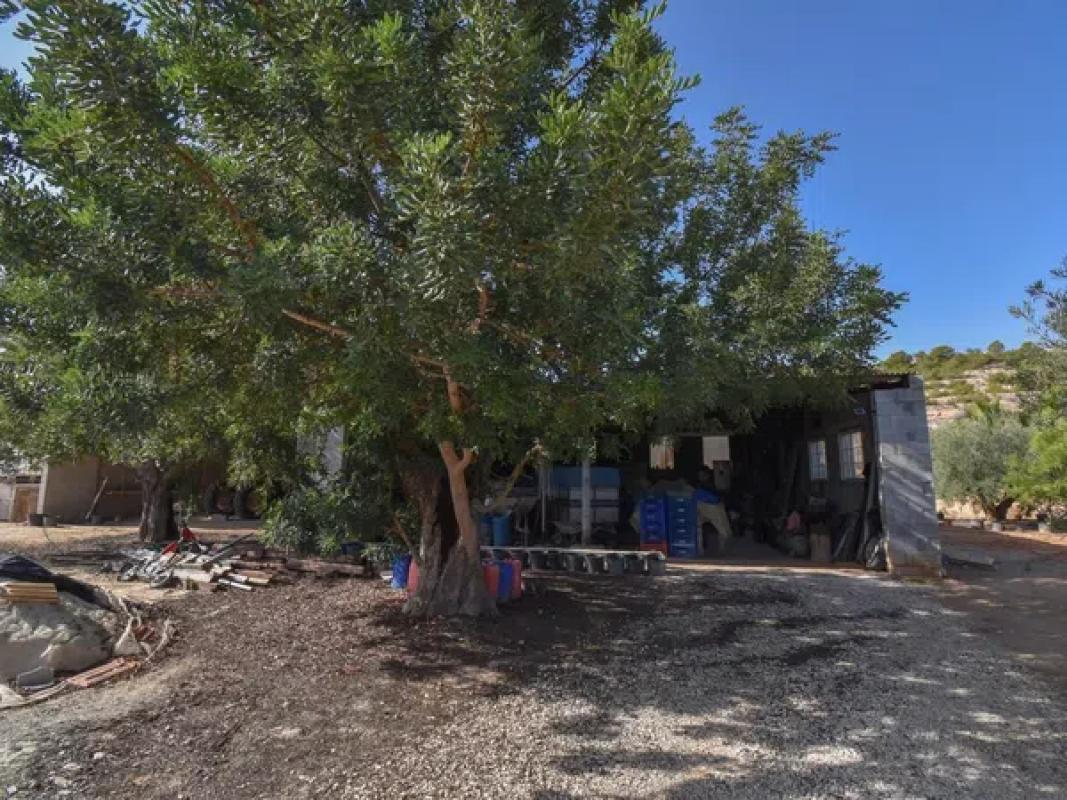 Terreno en venta en Elche / Elx, Alicante photo 3