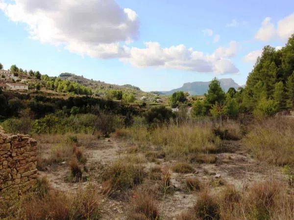 Terreno en Partida Llenes photo 2