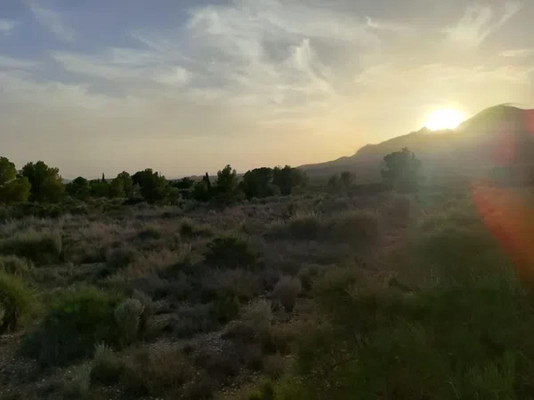 Działka na sprzedaż w Agost, Alicante photo 3
