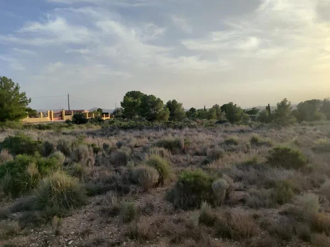 Działka na sprzedaż w Agost, Alicante photo 4