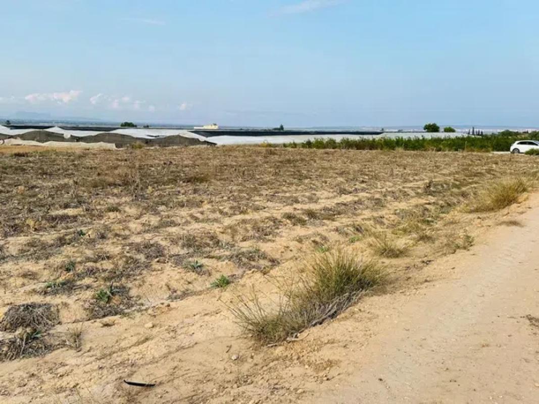 Działka na sprzedaż w Elche / Elx, Alicante photo 3