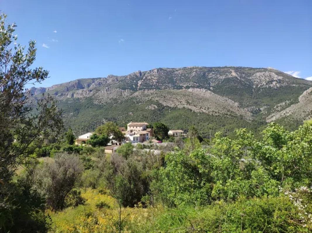 Land for sale in Guadalest, Alicante photo 2