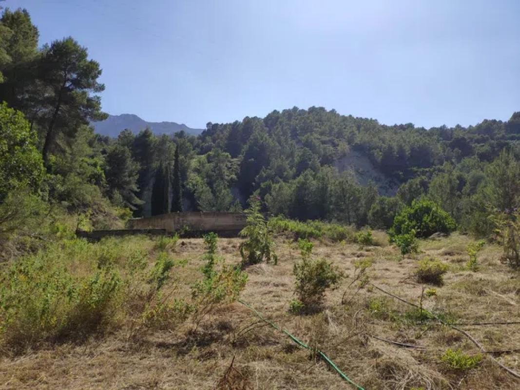 Land for sale in Guadalest, Alicante photo 5