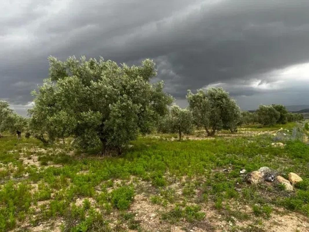 Terreno en venta en Biar, Alicante photo 1
